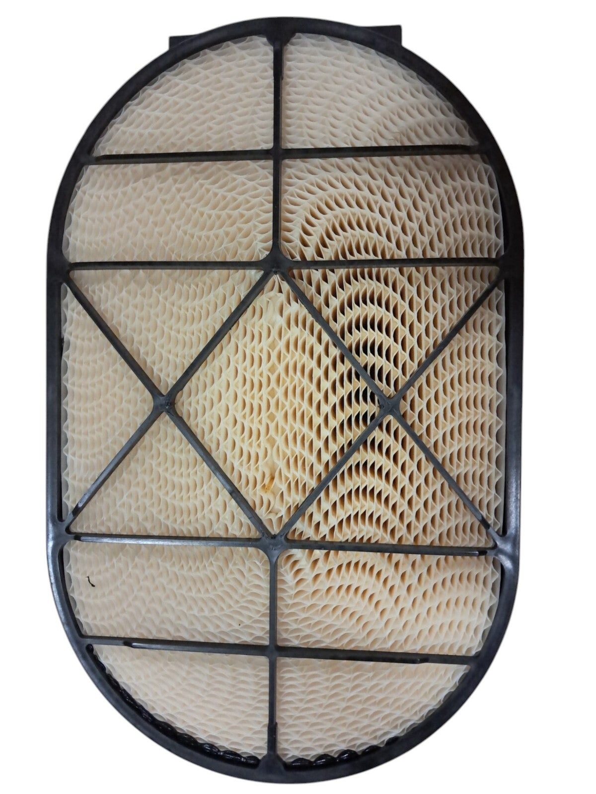 Filter Fleetguard , AF4206
