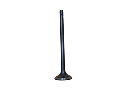 Exhaust Valve, Volvo 21528644