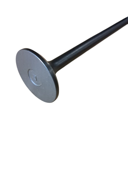 Exhaust Valve, Volvo 21528644